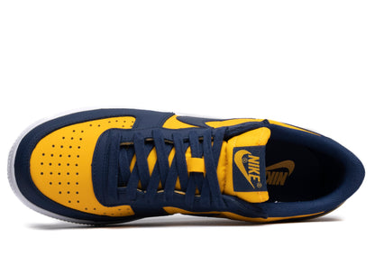 Nike Terminator Low OG